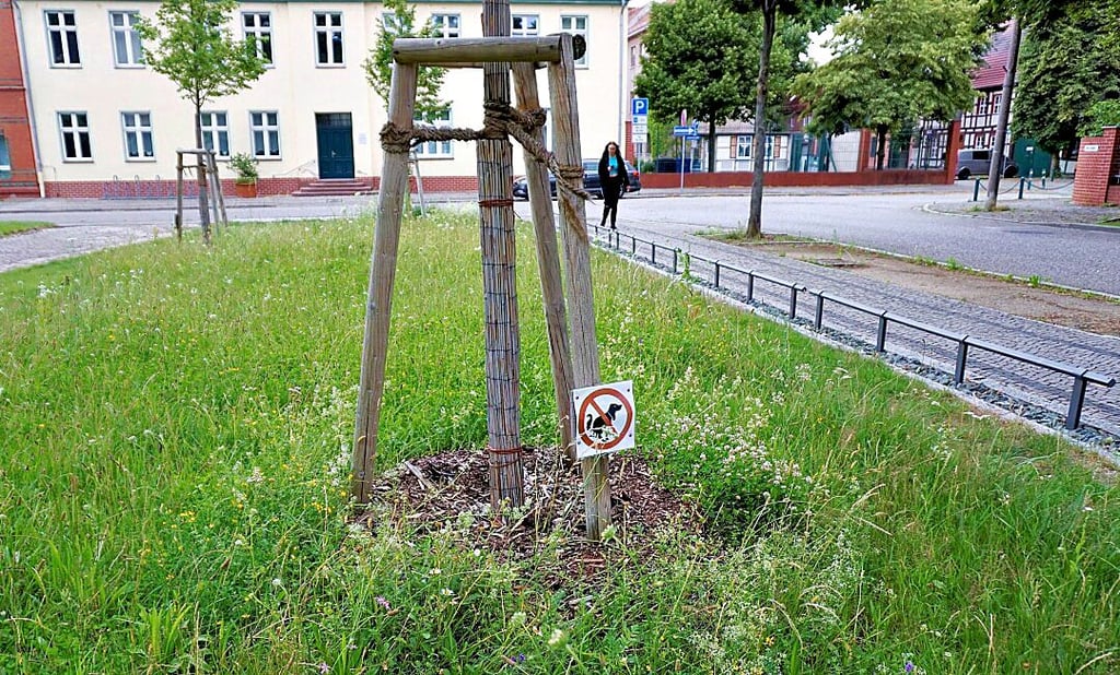 Solche Schilder an den Bäumen und der Niedrigzaun um die Grünflächen scheinen zu helfen.