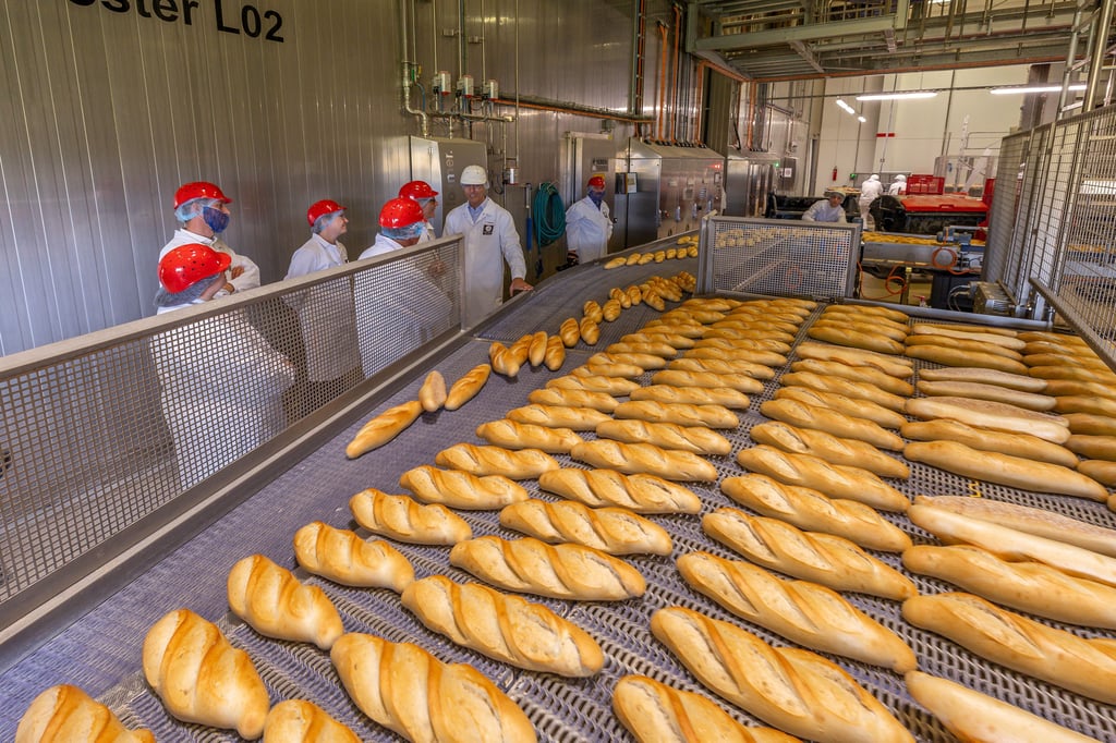 Am laufenden Band: Wie diese Baguettes vorgebacken und dann tiefgefroren verlassen alle Produkte die Großbäckerei Artiback.