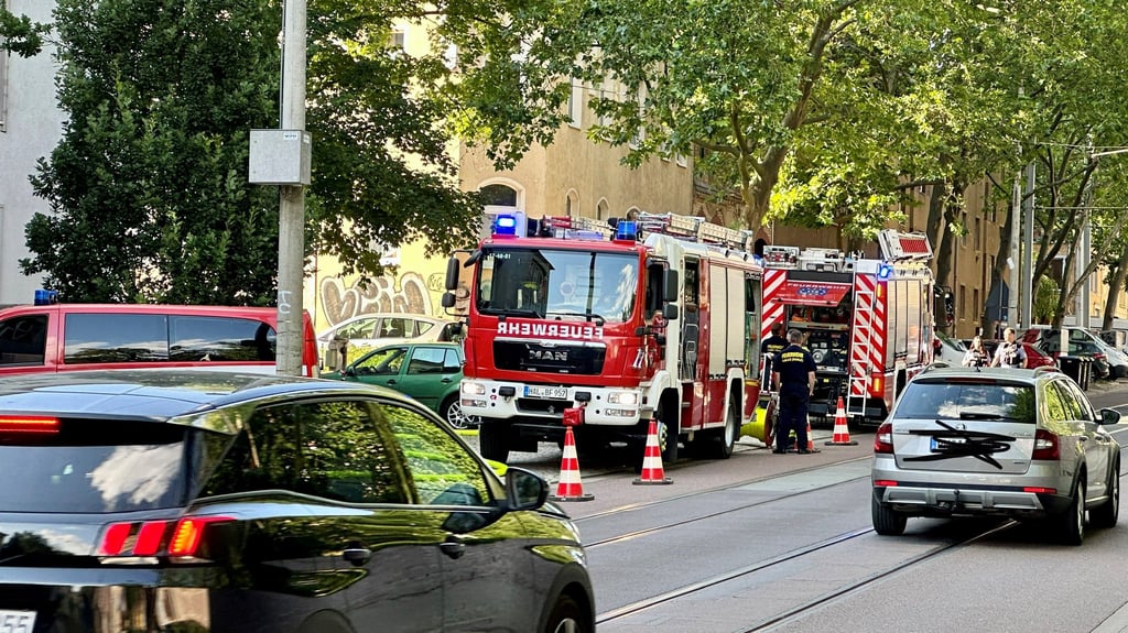 Die Feuerwehr musste von der Seebener Straße aus die Löschwasserversorgung absichern. Schleuche wurden von dort hinauf auf den Berg gelegt.