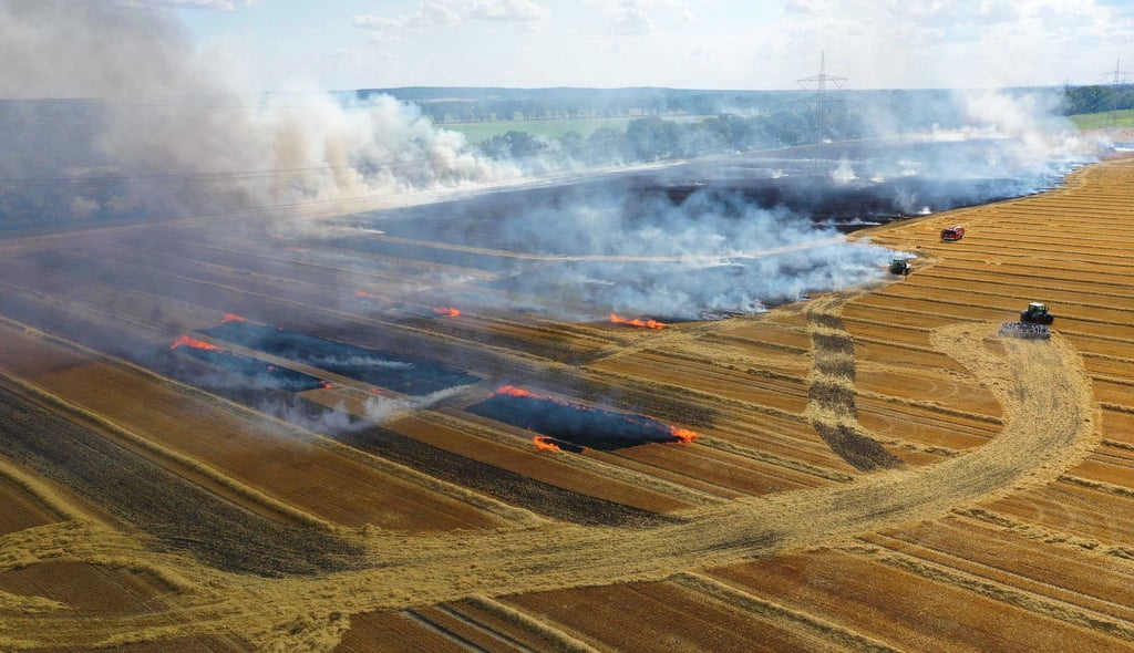 Blick auf einen Brand auf einer landwirtschaftlichen Fläche zwischen den Gemeinden Plessa und Schraden.