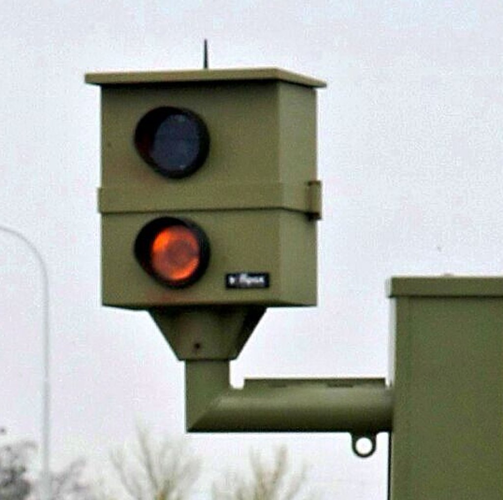 Starenkästen in Dessau blitzen weiter.