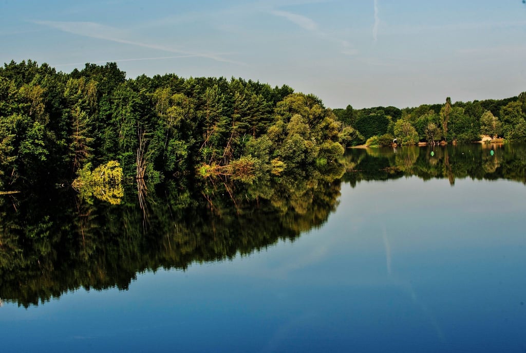 Die Bäume am Ufer des Flughafensee spiegeln sich im Wasser.
