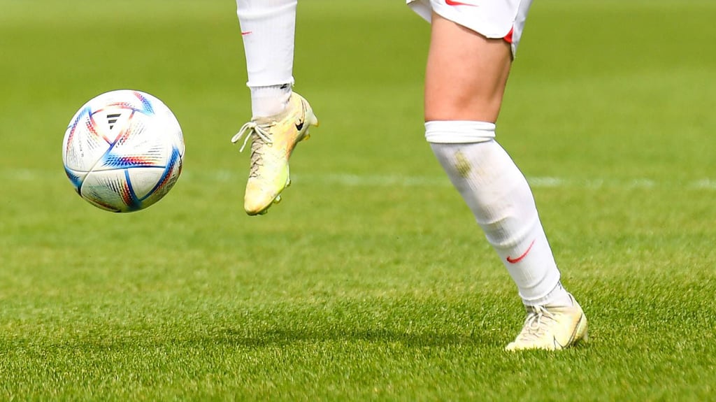 Der Rasen am Cottaweg ist nun fit für die Zukunft.