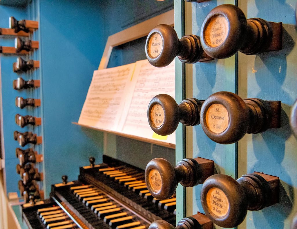 Auf der Hildebrandt-Orgel werden zum Internationalen Orgelsommer namhafte Musiker aus mehreren Ländern spielen.