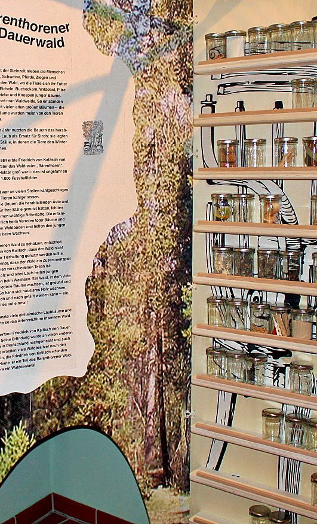 Auch zum Bärenthorener Dauerwald gibt es Informationen.