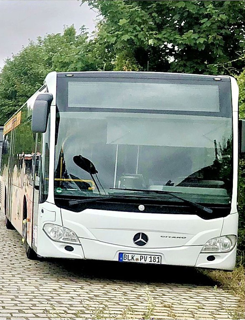Mit etwas Glück könnten die Busse der Zeitzer Stadtlinien künftig häufiger fahren.