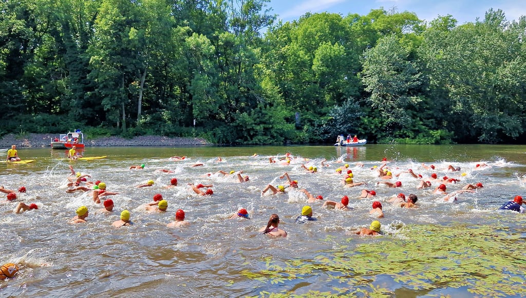 Insgesamt 147 Teilnehmer waren beim 17. internationalen Saaleschwimmen am Start. Geschwommen wurde von der Schleuse Gimritz bis zu den Klausbergen.