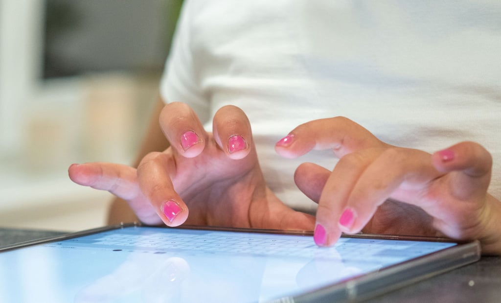 Im Kampf gegen sexuelle Gewalt im Internet sind aus Expertensicht neue polizeiliche Online-Strategien nötig.