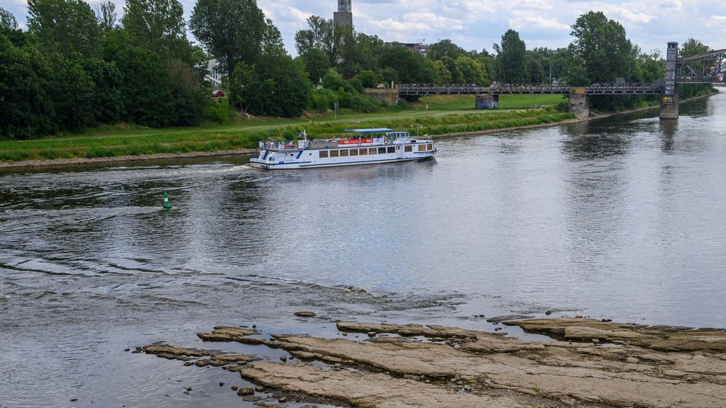 The White Fleet of Saxony Suspends Operations Due to Low Water Levels in Dresden