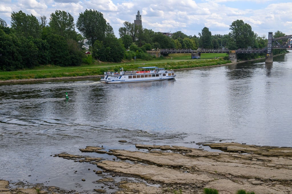Ein Ausflugsschiff fährt auf der Elbe mit Niedrigwasser.