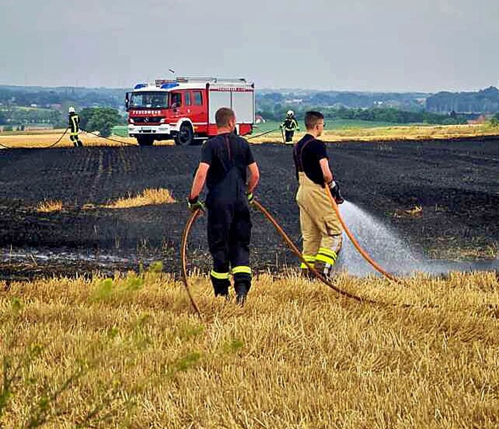 Die Feuerwehren der Stadt Könnern sind zu einem Feldbrand im Saalekreis gerufen worden.