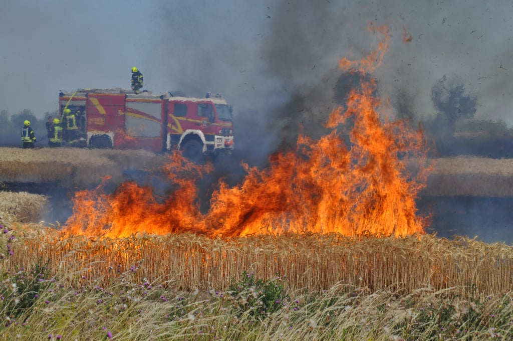 Feuerwehreinsatz bei einem Feldbrand (Symbolfoto)