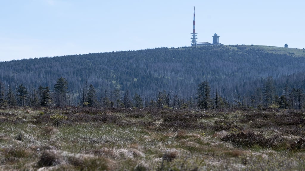 Für den Brocken gilt am Mittwoch eine Sturmwarnung. Oberhalb von 1000 Metern werden Sturmböen erwartet. Das kann vor allem im Wald zu Gefahr durch abbrechende Äste sorgen.