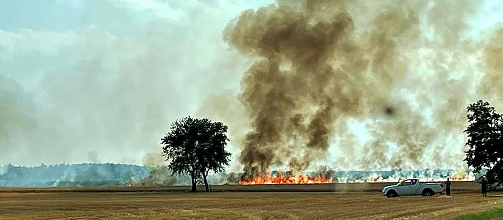 Am Dienstag stand nahe Mühldorf ein Getreidefeld in Flammen. Betroffen war eine Fläche von etwa fünf Hektar.