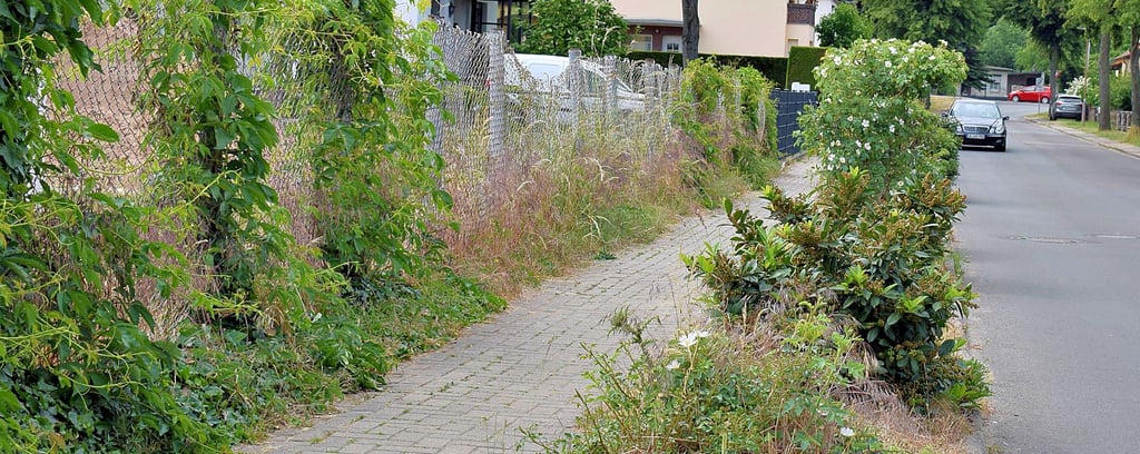 Eine Augenweide war der Grünstreifen in der Peter-Paul-Straße in Biederitz schon länger nicht mehr. Damit Fußgänger und radfahrende Kinder mehr Platz haben, soll der Streifen gepflastert werden.