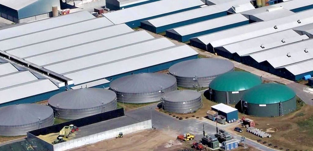 Die große Schweinezuchtanlage mit ihrer Biogasanlage in Binde ist aktuell wieder Thema. Stadt und Bürgeriniative wollen eine geringere Tierzahl erreichen.