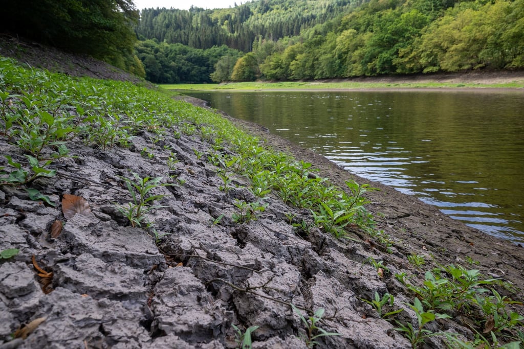 Verkrustete Erdschollen säumen ein Flussufer.