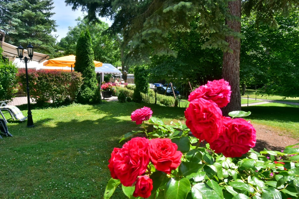 Freizeit Die Initiatorin geht Aus für Weißenfelser Kreativmarkt