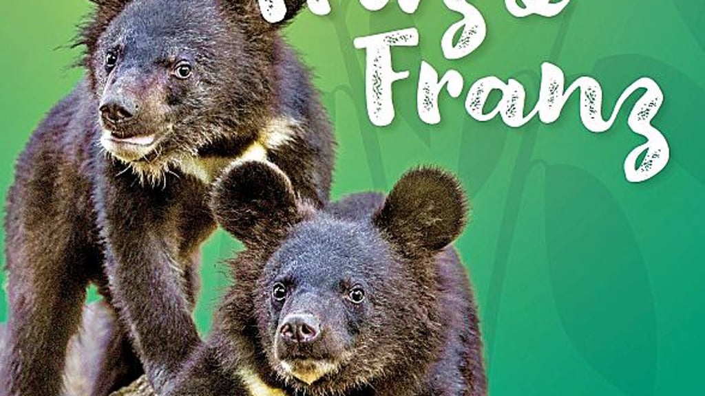 Plakat mit den Bären aus dem Tierpark Dessau.