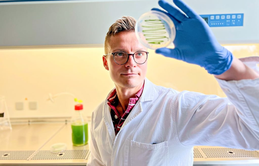 Der Biochemiker Enrico Ehrhardt aus Halle hat den Nachwuchsforscherpreis erhalten.