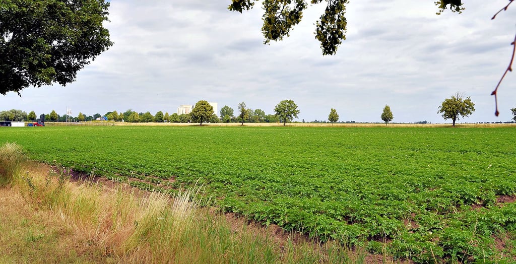 Blick in Richtung Pösigk: Hinter den Gewerbeflächen verläuft die Bundesstraße 183.