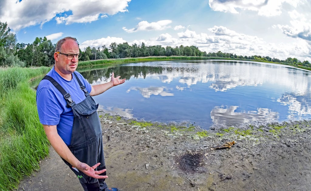Der See „Undank I“ bei Staßfurt: Mike Beyer vom Sportfischerverein Staßfurt erzählt, wie hier im Juni die Fische in Massen starben. Das Fischsterben wird zunehmen, meint er.
