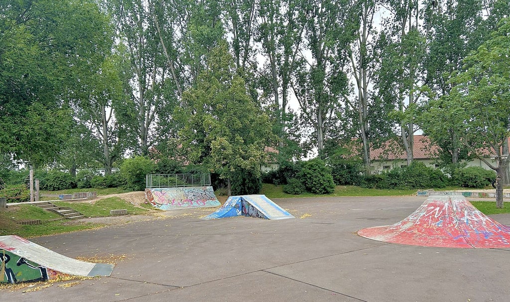 Der Skatepark am Olvenstedter Scheid ist seit vielen Jahren in keinem guten Zustand. Die Rampen sind beschmiert und Müll sowie leere Flaschen liegen in den grünen Ecken herum.