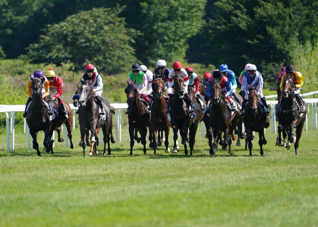 Die Teilnehmer des Deutschen Derbys laufen an der Tribüne vorbei.