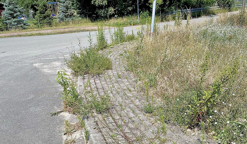 Der Anblick würde königlichen Besuch abschrecken: Die Straße „Zum Prinzendamm“ in Jävenitz wurde im Pflegeplan vergessen.