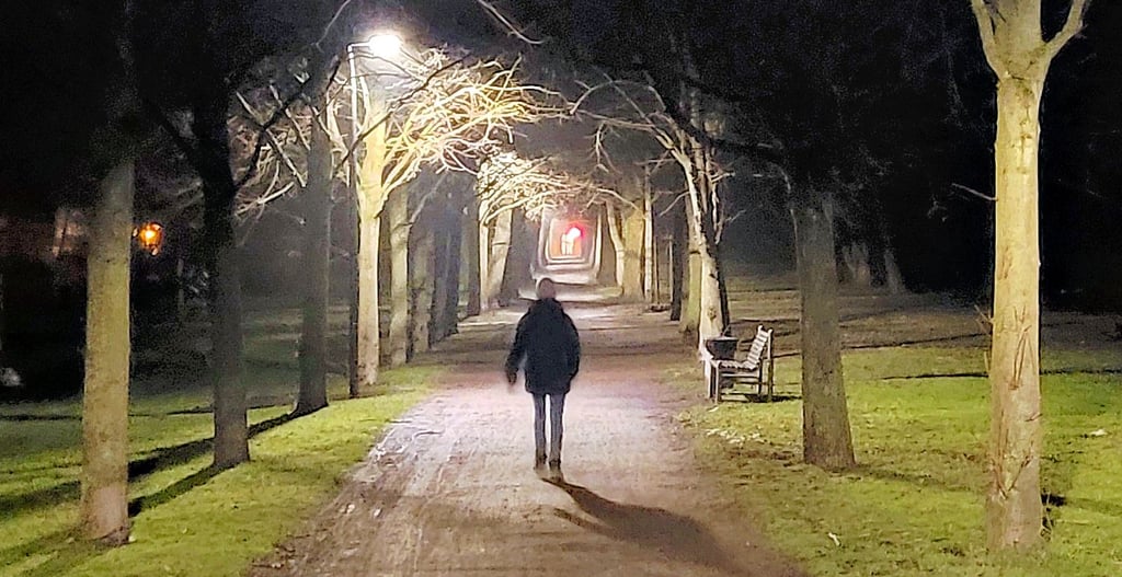 Im Dunkeln auf dem Gardelegener Wall - einige Gardelegener meiden diese Situation. Die neuen Lampen sollen das Sicherheitsgefühl verbessern.