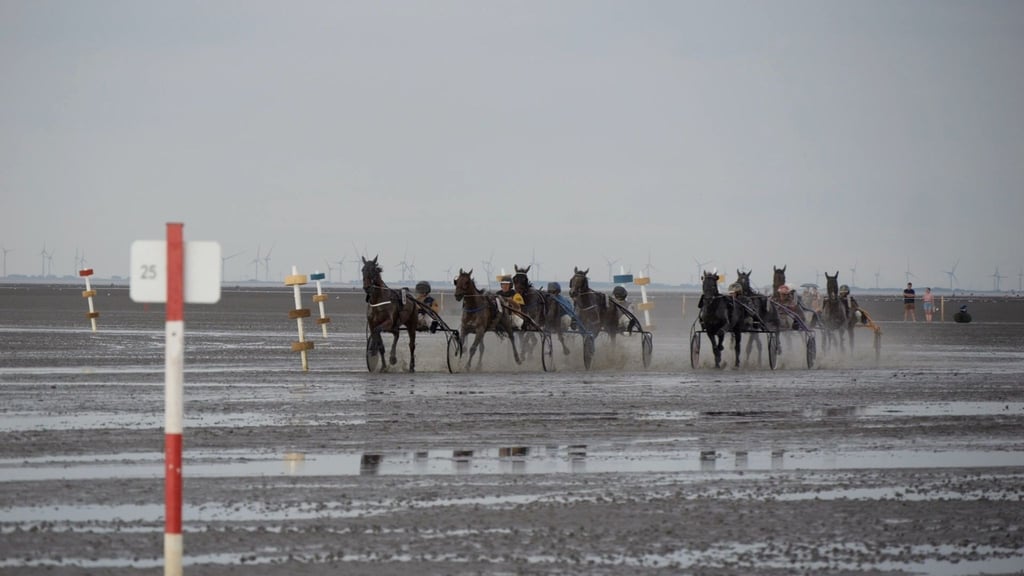 Teilnehmer und Teilnehmerinnen des Trabrennens sind in Aktion vor dem Strand von Duhnen.