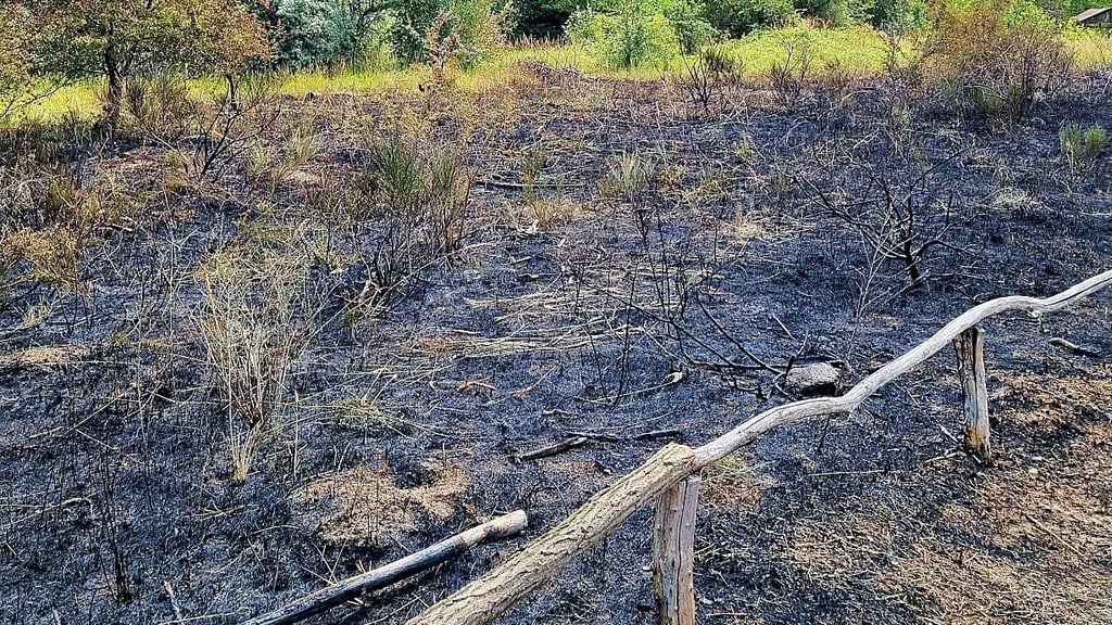 Die Flammen haben große Teile des Barfußpfads vernichtet.