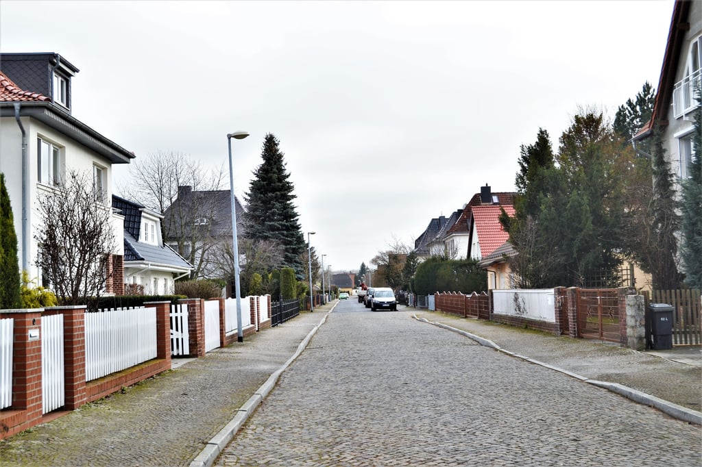 Blick in den Ulmenweg in Magdeburg, in dem kein einziges Exemplar dieser Baumgattung steht.