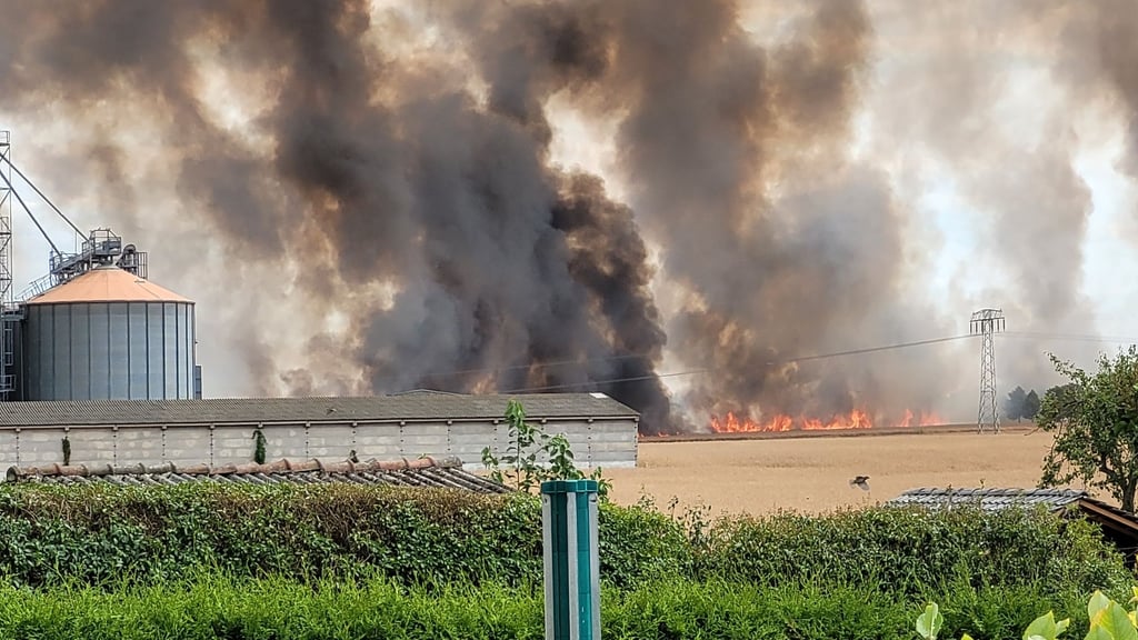 Mit großer Sorge haben Anwohner in der Stadt Mücheln den Großbrand auf den Feldern beobachtet.