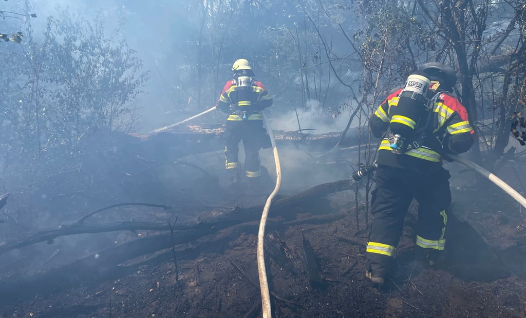 Rund 100 Kameraden sind am Sonnabend zu einem Feld- und Waldbrand an der Dobritzer Landstraße ausgerückt.