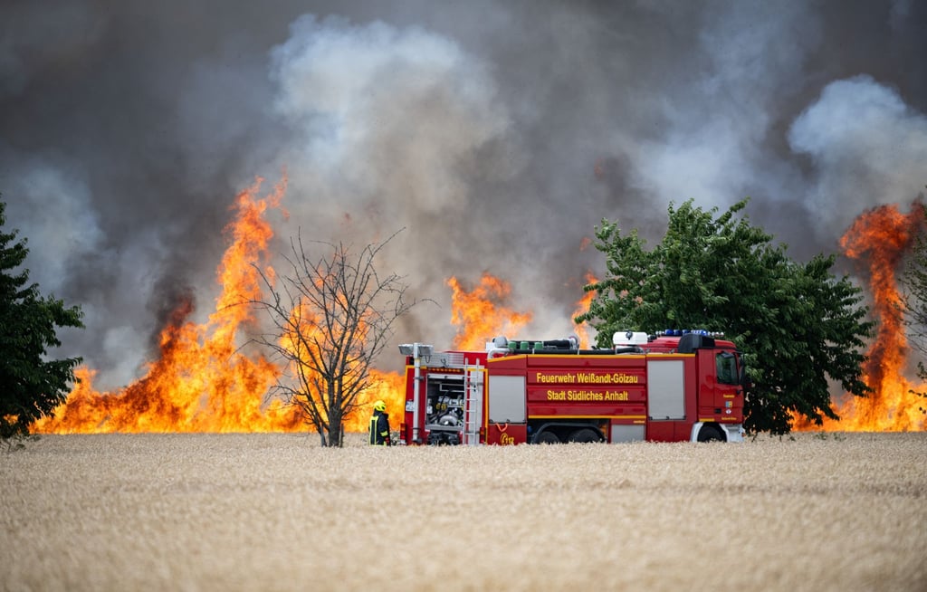 Ein Feuerwehrauto steht vor einem Feldbrand in der Nähe der Stadt Zörbig. Bei einem Feldbrand im Norden von Halle sind nach Angaben der Polizei rund 30 Hektar Agrarfläche abgebrannt.