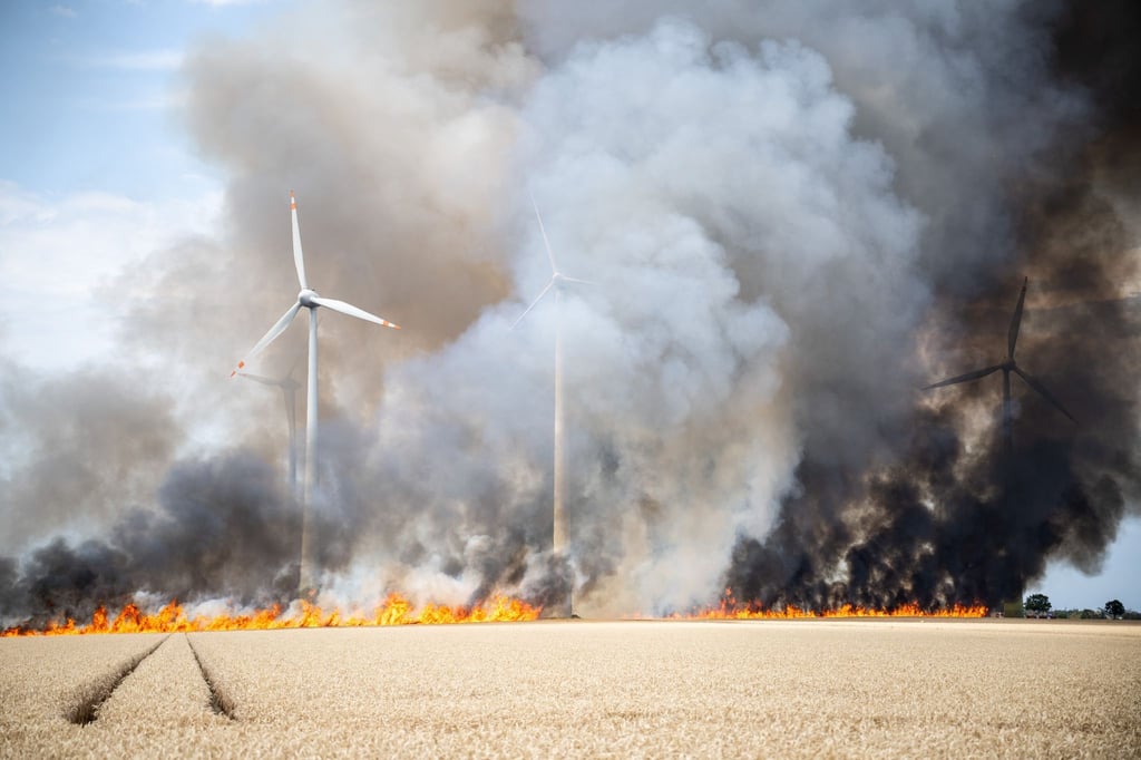 Ein Feldbrand in der Nähe der Stadt Zörbig.