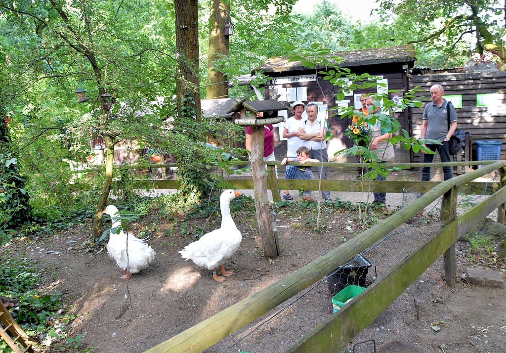 Auch den Gänsen Gordon und Gracy wurde am Freitag beim Rundgang durch das Nabu-Zentrum im Wittenberger Stadtwald ein Besuch abgestattet.