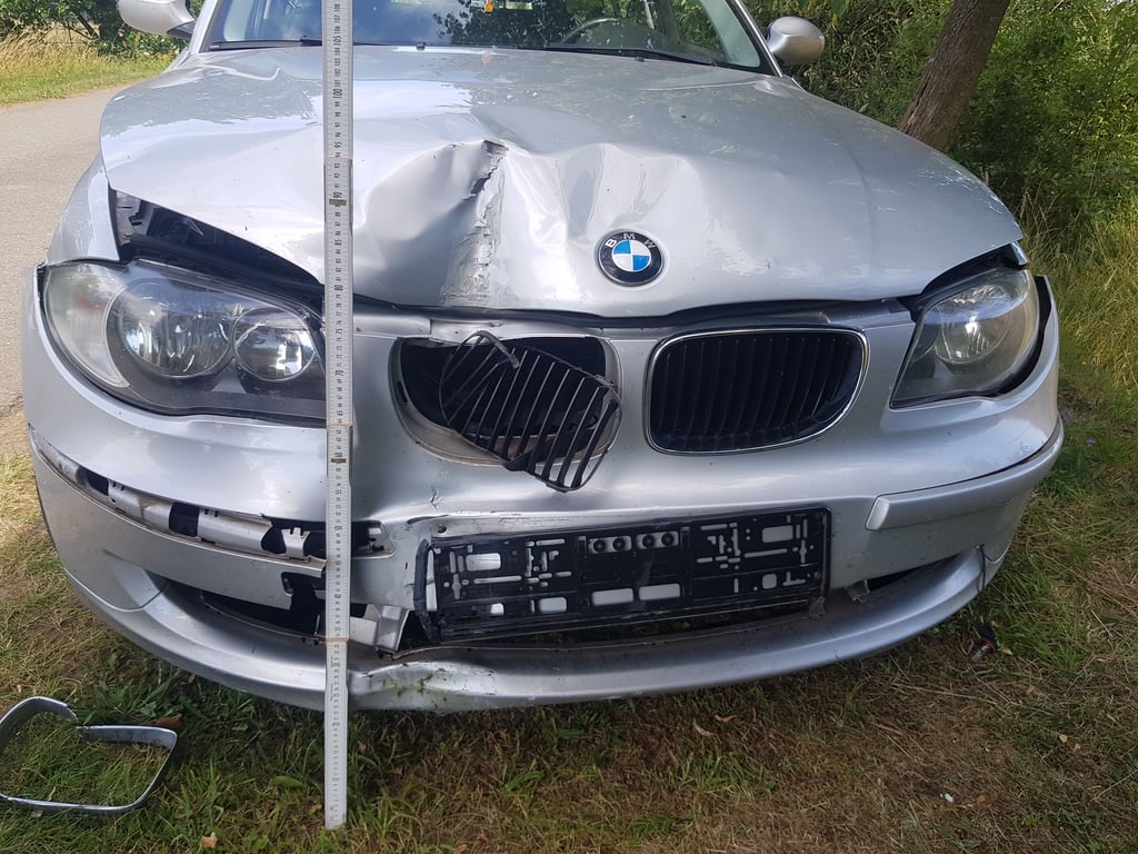 Einen gehörigen Schrecken löste der Stich einer Wespe in Werben nahe Stendal aus. Es kam zur Kollision. Foto: