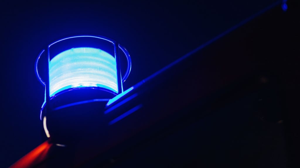 Insgesamt waren vier Fahrzeuge der Feuerwehr wegen der Sturmschäden unterwegs. 21 Kameraden waren im Einsatz.