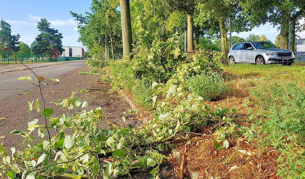 Wie hier in der Heidestraße riss der Sturm Äste ab.