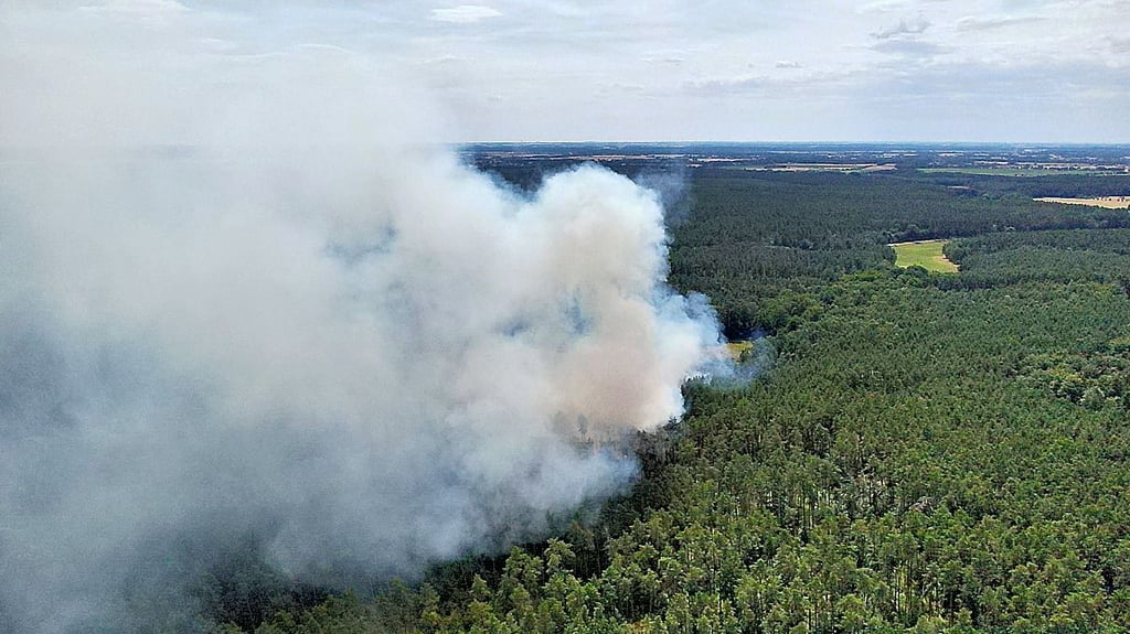 Der Waldbrand zwischen Tornau und Söllichau ist kilometerweit zu sehen. Dicke Rauchschwaden stiegen aus dem Wald auf.