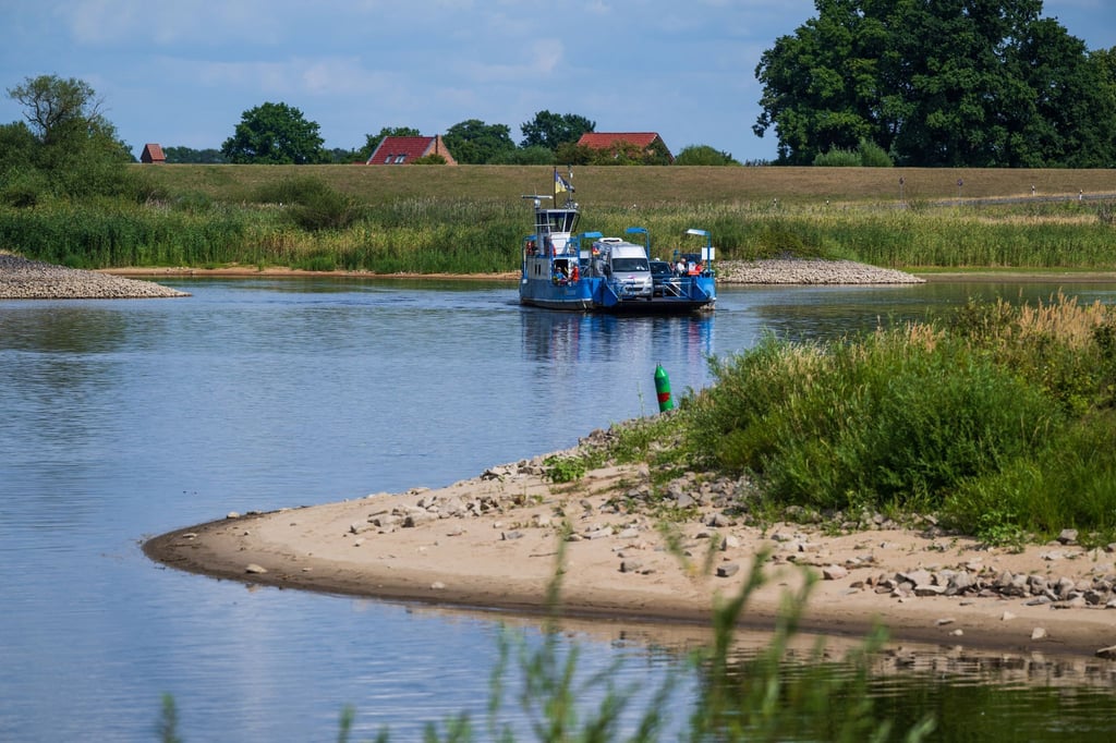 Eine Elbfähre quert die Elbe bei Niedrigwasser.