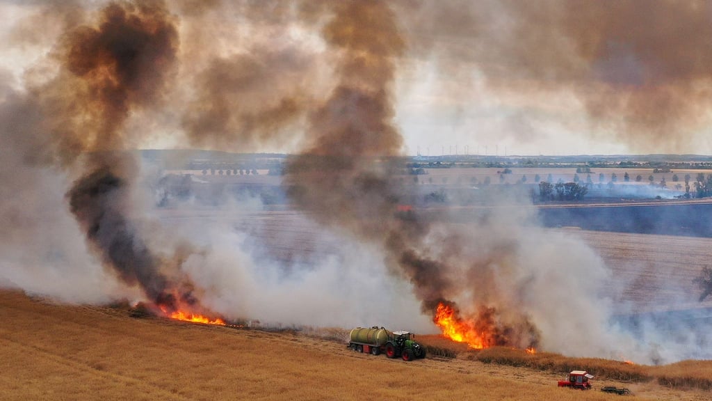 Teile eines Feldes an der A9 nahe Bad Dürrenberg stehen in Flammen.