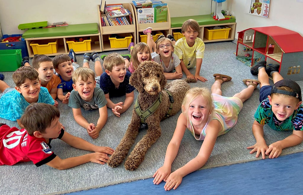 Kita-Hündin Minna begleitet die Kinder in der Kita Kluswegzwerge in Magdeburg schon seit sie ein Welpe war. Zusammen kuscheln und spielen sie. Aber die älteren Kinder dürfen auch ihren Hundeführerschein machen.