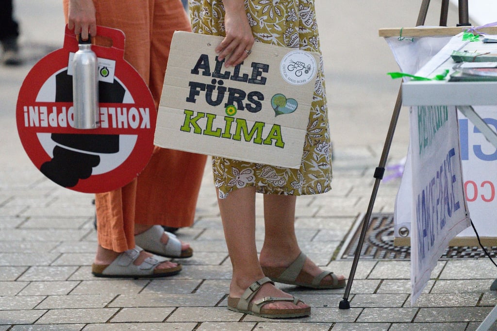 Teilnehmer halten bei Protesten der Klimaschutzbewegung Fridays for Future Plakate.