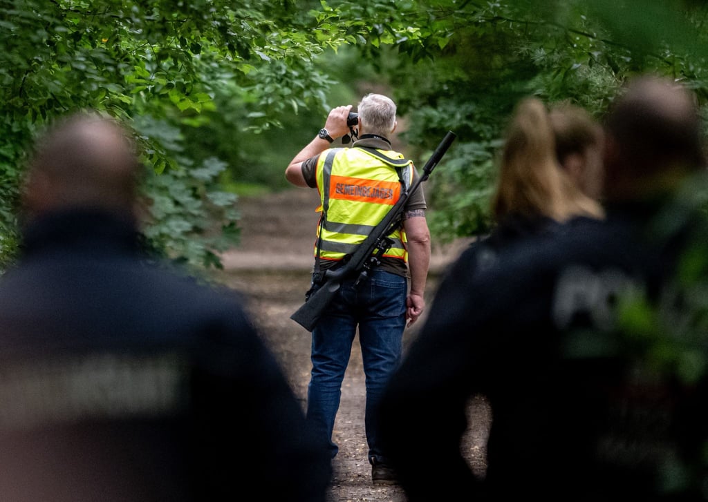 Der Gemeindejäger (M) und ein Mitarbeiter des Ordnungsamts durchsuchen einen Wald.