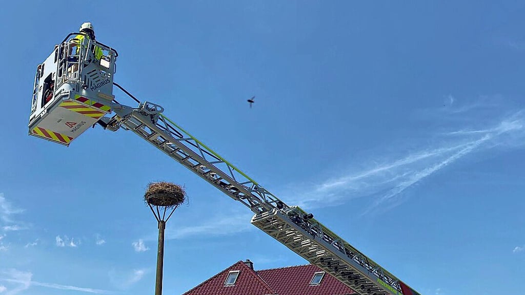 Die Feuerwehr unterstützte Peter Gottschalk dabei, die beiden jungen Störche wieder in das „Storchennest“ zu setzen.