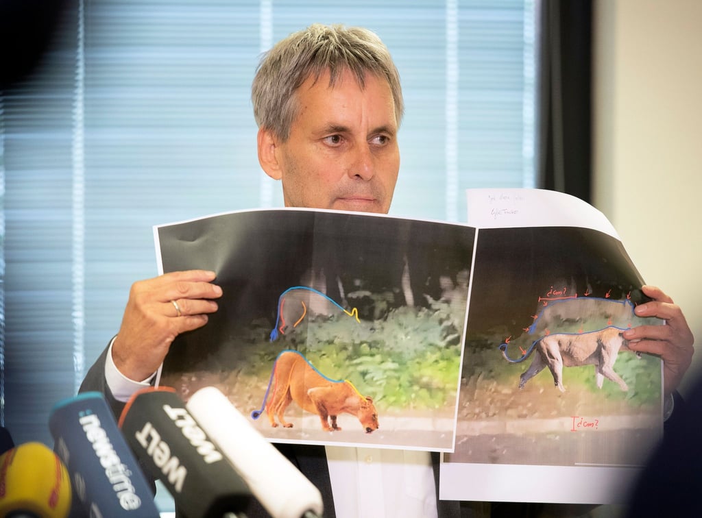 Michael Grubert erklärt während einer Pressekonferenz anhand von Fotos, weshalb es sich bei dem gesuchten Raubtier um keine Löwin handelt.