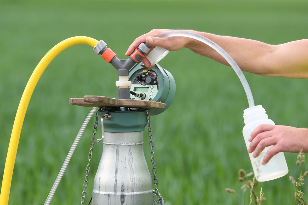Das Wassermanagement in Sachsen-Anhalt soll neu geregelt werden.